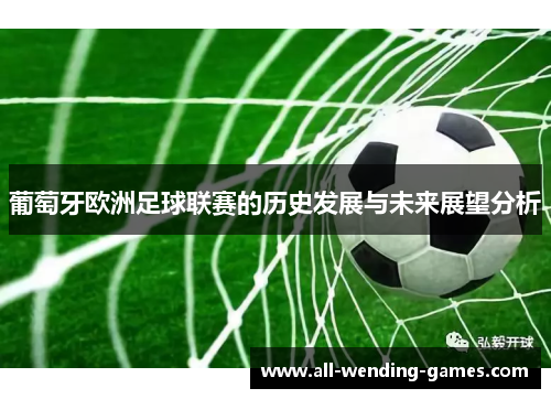 葡萄牙欧洲足球联赛的历史发展与未来展望分析