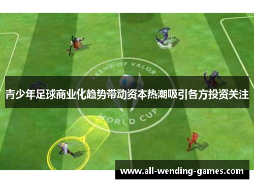 青少年足球商业化趋势带动资本热潮吸引各方投资关注 青少年足球商业化趋势带动资本热潮吸引各方投资关注
